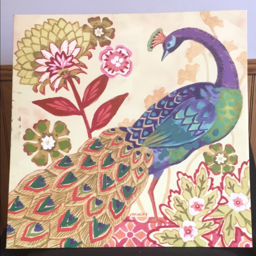 Peacock picture from Hobby Lobby.